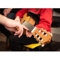 Курсы повышения квалификации «Актуальные проблемы обучения игре на классической гитаре»